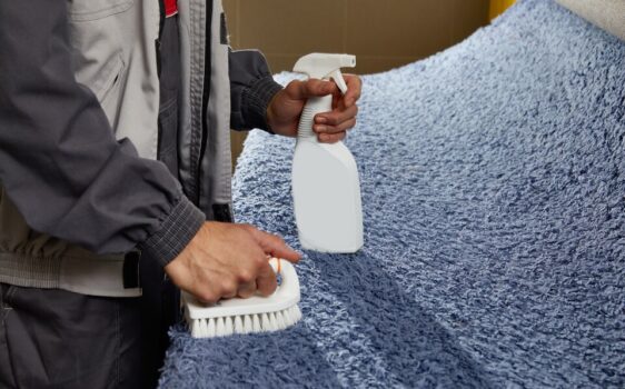 Professional Domestic Cleaning Company