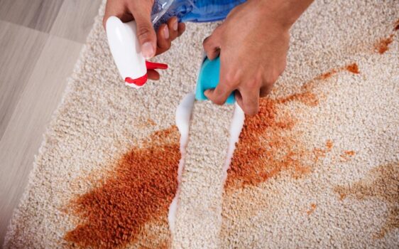 Professional Domestic Cleaning Company