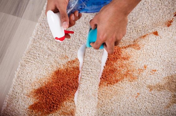 Carpet Spot and Stain Removal