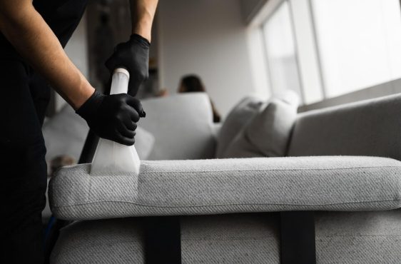 Professional Domestic Cleaning Company