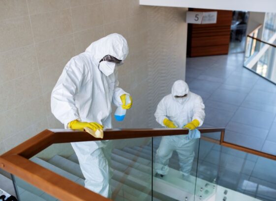 sanctuary cleaning