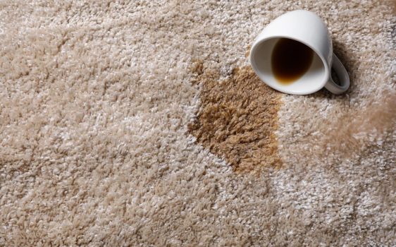 Carpet Stain Protection Services in Waterford Carpet Stain Protection Services in Waterford