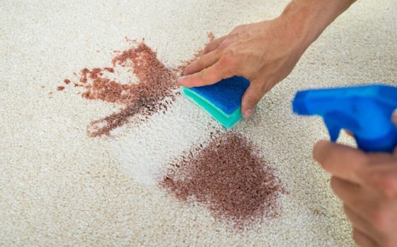 Expert Carpet Spot and Stain Removal in Waterford Expert Carpet Spot and Stain Removal in Waterford